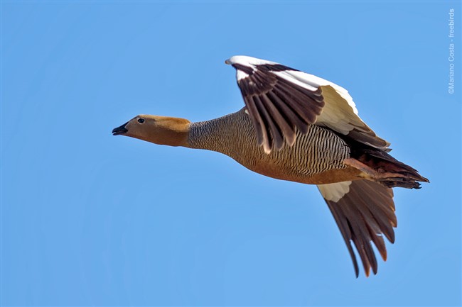 Image title Image description